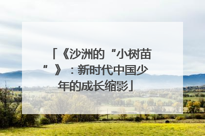 《沙洲的“小树苗”》：新时代中国少年的成长缩影