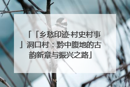 「乡愁印迹·村史村事」洞口村：黔中腹地的古韵新章与振兴之路