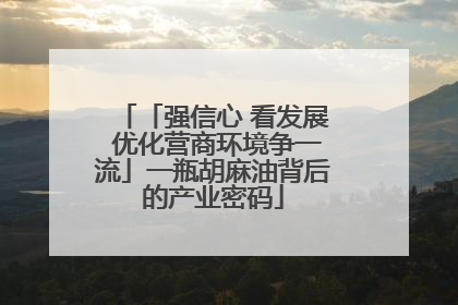 「强信心 看发展 优化营商环境争一流」一瓶胡麻油背后的产业密码