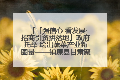 「强信心 看发展·招商引资拼落地」政府托举 绘出蔬菜产业新图景——镇原县甘肃聚广利现代设施蔬菜种植基地见闻