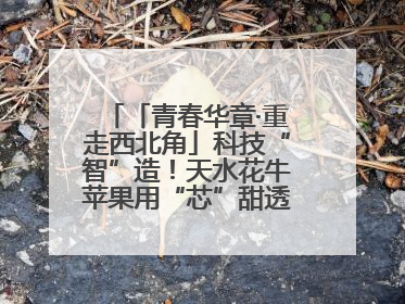 「青春华章·重走西北角」科技“智”造！天水花牛苹果用“芯”甜透你的味蕾