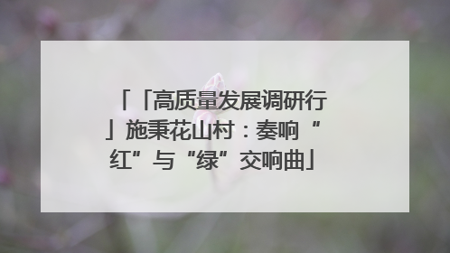 「高质量发展调研行」施秉花山村：奏响“红”与“绿”交响曲