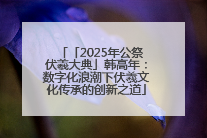 「2025年公祭伏羲大典」韩高年：数字化浪潮下伏羲文化传承的创新之道