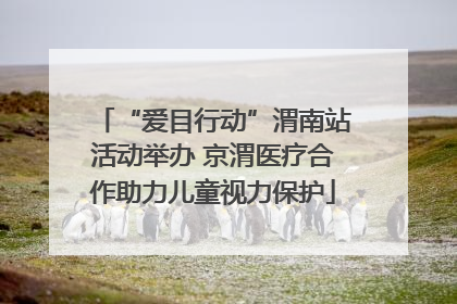 “爱目行动”渭南站活动举办 京渭医疗合作助力儿童视力保护