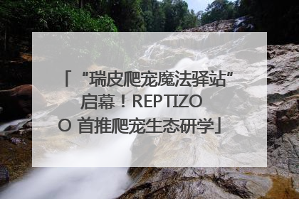 “瑞皮爬宠魔法驿站” 启幕！REPTIZOO 首推爬宠生态研学
