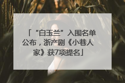“白玉兰”入围名单公布，浙产剧《小巷人家》获7项提名