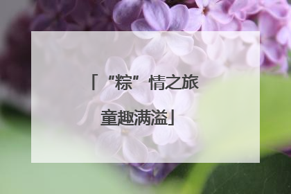 “粽”情之旅 童趣满溢