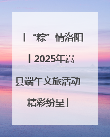 “粽”情洛阳丨2025年嵩县端午文旅活动精彩纷呈