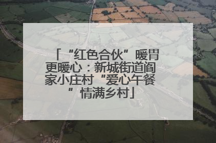 “红色合伙”暖胃更暖心：新城街道阎家小庄村“爱心午餐”情满乡村