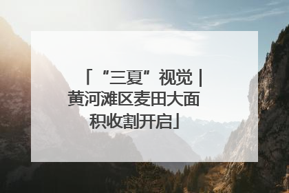 “三夏”视觉｜黄河滩区麦田大面积收割开启