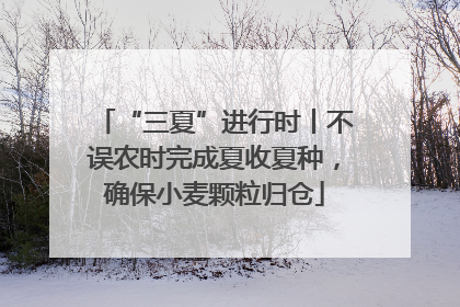 “三夏”进行时丨不误农时完成夏收夏种，确保小麦颗粒归仓