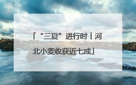 “三夏”进行时丨河北小麦收获近七成