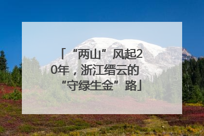 “两山”风起20年，浙江缙云的“守绿生金”路