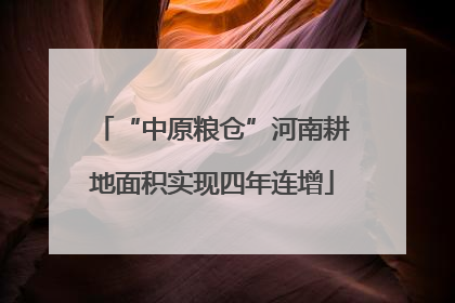 “中原粮仓”河南耕地面积实现四年连增