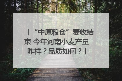 “中原粮仓”麦收结束 今年河南小麦产量咋样？品质如何？