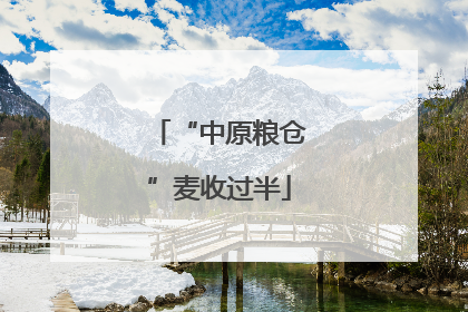 “中原粮仓”麦收过半