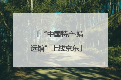 “中国特产·靖远馆”上线京东