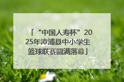 “中国人寿杯”2025年漳浦县中小学生篮球联赛圆满落幕