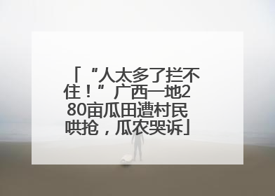 “人太多了拦不住！”广西一地280亩瓜田遭村民哄抢，瓜农哭诉