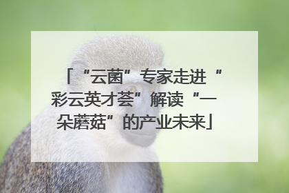 “云菌”专家走进“彩云英才荟”解读“一朵蘑菇”的产业未来