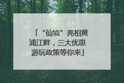 “仙境”亮相黄浦江畔，三大优惠游玩政策等你来