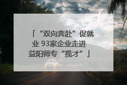 “双向奔赴”促就业 93家企业走进益阳师专“揽才”