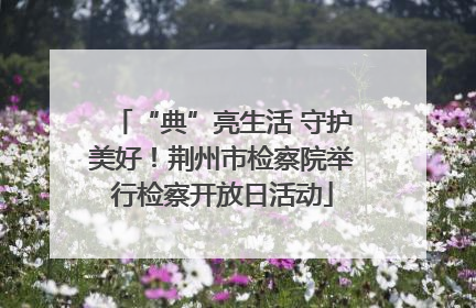 “典”亮生活 守护美好！荆州市检察院举行检察开放日活动
