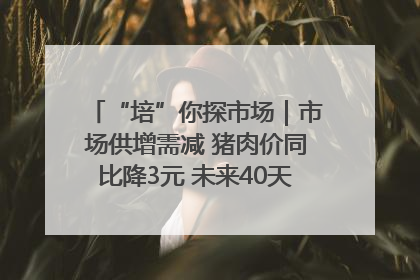 “培”你探市场｜市场供增需减 猪肉价同比降3元 未来40天便宜猪肉敞开吃