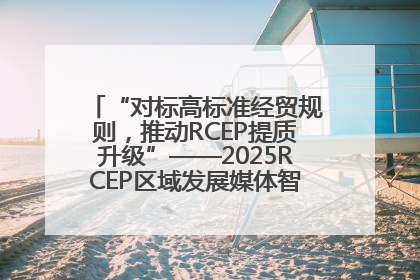 “对标高标准经贸规则，推动RCEP提质升级”——2025RCEP区域发展媒体智库论坛举行专题对话