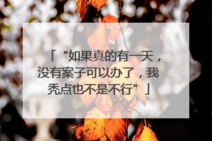 “如果真的有一天，没有案子可以办了，我秃点也不是不行”