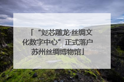“彣芯雕龙·丝绸文化数字中心”正式落户苏州丝绸博物馆