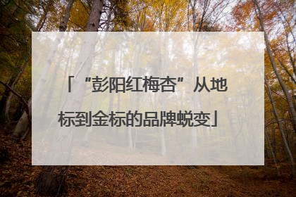 “彭阳红梅杏”从地标到金标的品牌蜕变