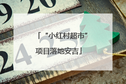 “小红村超市”项目落地安吉