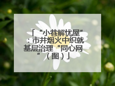 “小巷解忧屋”：市井烟火中织就基层治理“同心网”（图）