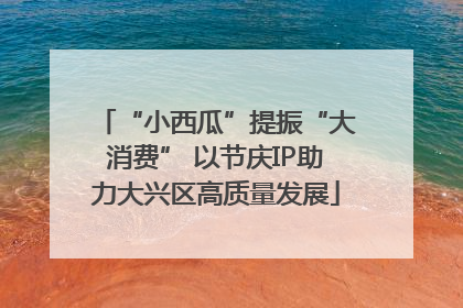 “小西瓜”提振“大消费” 以节庆IP助力大兴区高质量发展