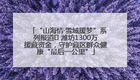 “山海情·雪域援梦”系列报道⑪ 潍坊1300万援藏资金，守护藏区群众健康“最后一公里”