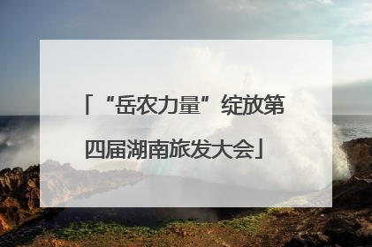 “岳农力量”绽放第四届湖南旅发大会