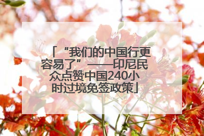 “我们的中国行更容易了”——印尼民众点赞中国240小时过境免签政策