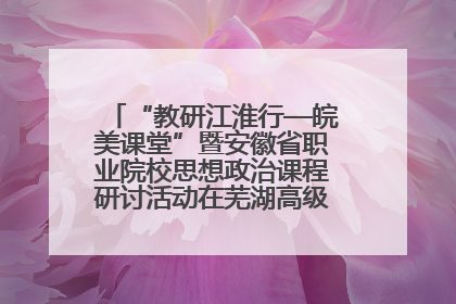 “教研江淮行—皖美课堂”暨安徽省职业院校思想政治课程研讨活动在芜湖高级职业技术学校举行
