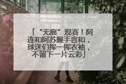 “无痕”观赛！阿连和阿苏握手言和，球迷们挥一挥衣袖，不留下一片云彩