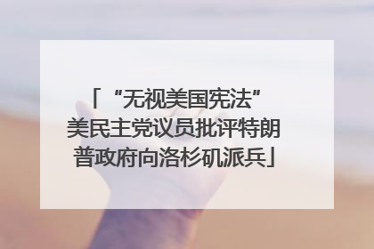“无视美国宪法” 美民主党议员批评特朗普政府向洛杉矶派兵