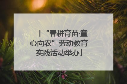 “春耕育苗·童心向农”劳动教育实践活动举办