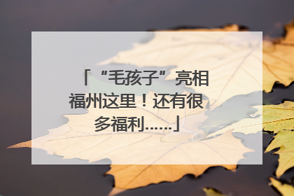 “毛孩子”亮相福州这里！还有很多福利……