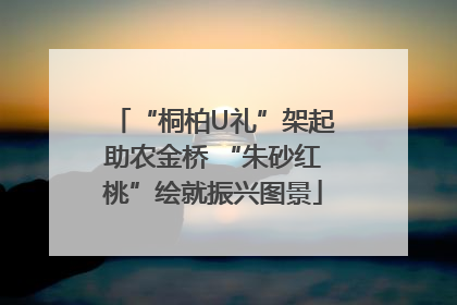 “桐柏U礼”架起助农金桥 “朱砂红桃”绘就振兴图景