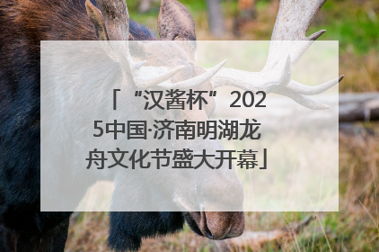 “汉酱杯”2025中国·济南明湖龙舟文化节盛大开幕