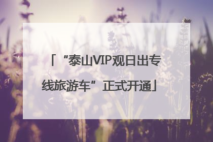 “泰山VIP观日出专线旅游车”正式开通