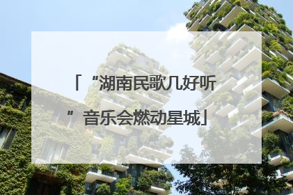 “湖南民歌几好听”音乐会燃动星城
