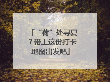 “荷”处寻夏？带上这份打卡地图出发吧