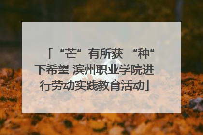 “芒”有所获 “种”下希望 滨州职业学院进行劳动实践教育活动