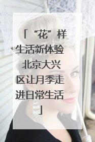 “花”样生活新体验 北京大兴区让月季走进日常生活